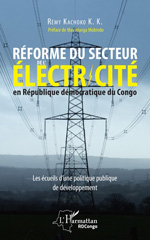 eBook, Réforme du secteur de l'électricité en République démocratique du Congo : Les écueils d'une politique publique de développement, Editions L'Harmattan