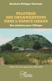 E-book, Pilotage des organisations dans l'espace OHADA : Des solutions pour l'Afrique, L'Harmattan