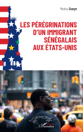 E-book, Les pérégrinations d'un immigrant sénégalais aux États-Unis, L'Harmattan