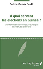 E-book, A quoi servent les élections en Guinée ? : Enquête multidimensionnelle sur les pratiques et vicissitudes électorales, Les Impliqués
