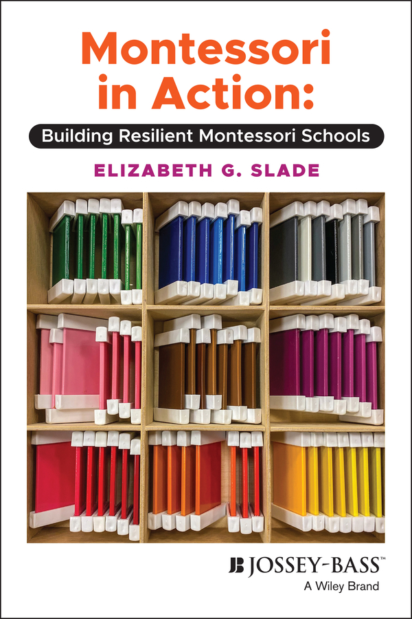E-book, Montessori in Action : Building Resilient Montessori Schools, Jossey-Bass