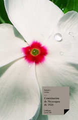 E-book, Constituciones fundacionales de Nicaragua, Linkgua