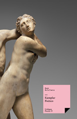 E-book, Ejemplar poético, Linkgua