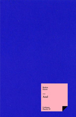 E-book, Azul, Linkgua
