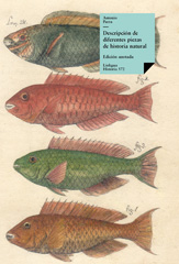 E-book, Descripción de diferentes piezas de historia natural : libro de los peces, Linkgua