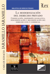 E-book, La modernización del derecho privado, Ediciones Olejnik