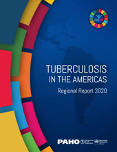 E-book, Tuberculosis in the Americas : Regional Report 2020, Pan American Health Organization