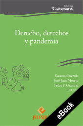 E-book, Derecho, derechos y pandemia, Palestra Editores