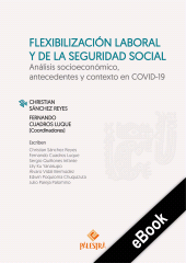 E-book, Flexibilización laboral y de la seguridad social : Análisis socioeconómico, antecedentes y contexto en COVID-19, Palestra Editores