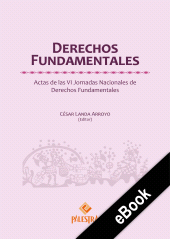 E-book, Derechos Fundamentales : Actas de las VI Jornadas Nacionales de Derechos Fundamentales, Palestra Editores