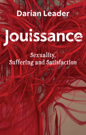 E-book, Jouissance : Sexuality, Suffering and Satisfaction, Polity Press