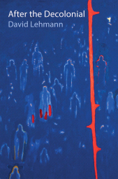 E-book, After the Decolonial : Ethnicity, Gender and Social Justice in Latin America, Polity Press