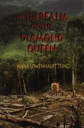 E-book, In the Realm of the Diamond Queen : Marginality in an Out-of-the-Way Place, Princeton University Press