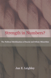 E-book, Strength in Numbers? : The Political Mobilization of Racial and Ethnic Minorities, Princeton University Press