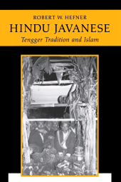 E-book, Hindu Javanese : Tengger Tradition and Islam, Princeton University Press
