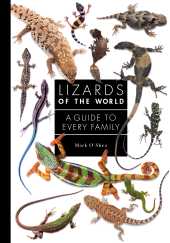 eBook, Lizards of the World : A Guide to Every Family, Princeton University Press