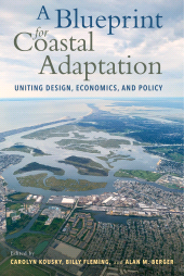 eBook, A Blueprint for Coastal Adaptation : Uniting Design, Economics, and Policy, Princeton University Press