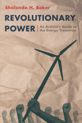 E-book, Revolutionary Power : An Activist's Guide to the Energy Transition, Princeton University Press