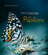 eBook, Dans l'intimité des papillons, Éditions Quae