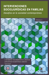 E-book, Intervenciones sociojurídicas en familias : Desafíos en la sociedad contemporánea. Volumen i, Ril Editores