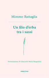 E-book, Un filo d'erba tra i sassi, Rubbettino