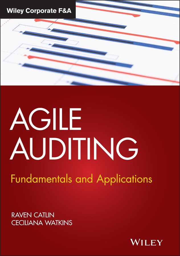 E-book, Agile Auditing : Fundamentals and Applications, John Wiley & Sons