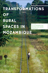 eBook, Transformations of Rural Spaces in Mozambique, Zed Books