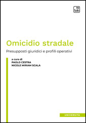 E-book, Omicidio stradale : presupposti giuridici e profili operativi, TAB edizioni