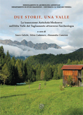 E-book, Due storie, una valle : la transizione Antichità-Medioevo nell'Alta Valle del Tagliamento attraverso l'archeologia, All'insegna del giglio
