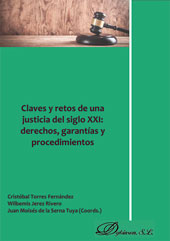 E-book, Claves y retos de una justicia del siglo XXI : derechos, garantías y procedimientos, Dykinson