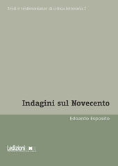 E-book, Indagini sul Novecento, Esposito, Edoardo, Ledizioni