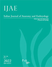 Heft, IJAE : Italian Journal of Anatomy and Embryology : 126, 2, 2022, Firenze University Press