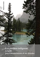 E-book, Los pueblos indígenas : la lucha por el reconocimiento de sus derechos, Dykinson