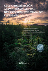 E-book, Una aproximación al panorama actual del consumo de cannabis en España, Dykinson