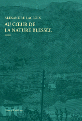 E-book, Au coeur de la nature blessée : Apprendre à voir les paysages du XXIe siècle, Allary Éditions