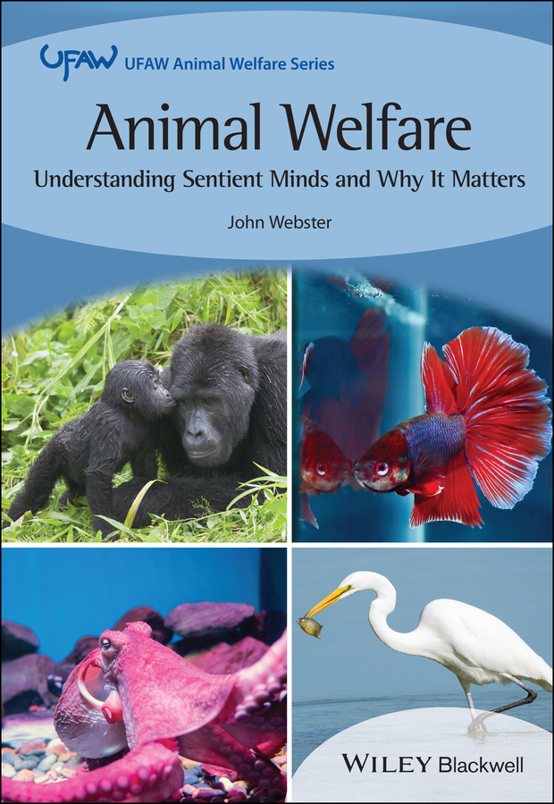 E-book, Animal Welfare : Understanding Sentient Minds and Why It Matters, Blackwell