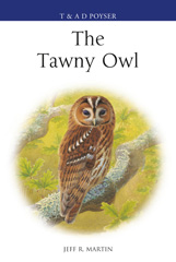 E-book, The Tawny Owl, Bloomsbury Publishing