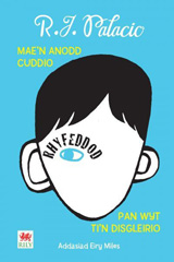 E-book, Rhyfeddod, Casemate