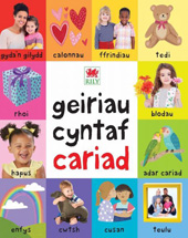 E-book, Geiriau Cyntaf Cariad, Casemate