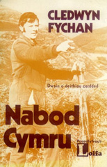 eBook, Nabod Cymru - Dwsin o Deithiau Cerdded, Casemate Group