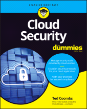 E-book, Cloud Security For Dummies, For Dummies