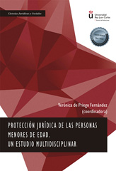 E-book, Protección jurídica de las personas menores de edad : Un estudio multidisciplinar, Priego Fernández, Verónica de., Dykinson