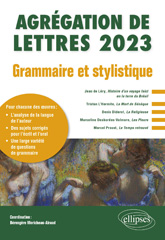 E-book, Grammaire et stylistique : Agrégation de Lettres 2023, Moricheau-Airaud, Berengere, Édition Marketing Ellipses