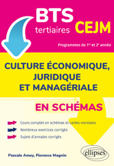 E-book, BTS tertiaires : CEJM en schémas : Culture économique, juridique et managériale, Édition Marketing Ellipses