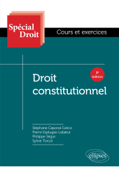 E-book, Droit constitutionnel, Édition Marketing Ellipses