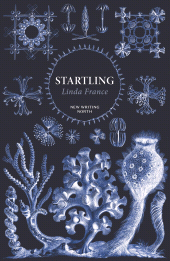 E-book, Startling, Faber & Faber