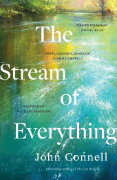 E-book, The Stream of Everything, Gill Books