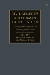 E-book, Civil Remedies and Human Rights in Flux, Hart Publishing