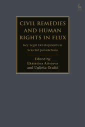 eBook, Civil Remedies and Human Rights in Flux : Key Legal Developments in Selected Jurisdictions, Hart Publishing