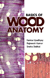 eBook, Basics of Wood Anatomy, New India Publishing Agency